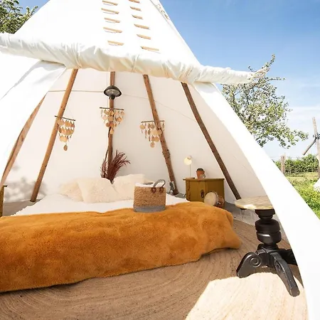 Luxury tent Slapen Tussen De Schapen In De Tante Tipi *
