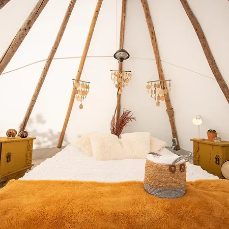 Slapen Tussen De Schapen In De Tante Tipi * Zennewijnen