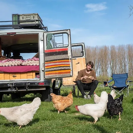 Slapen Tussen De Schapen In De Tante Tipi Luxury tent *