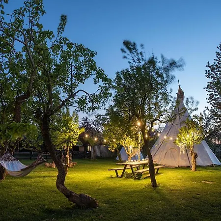 Luxury tent Slapen Tussen De Schapen In De Tante Tipi