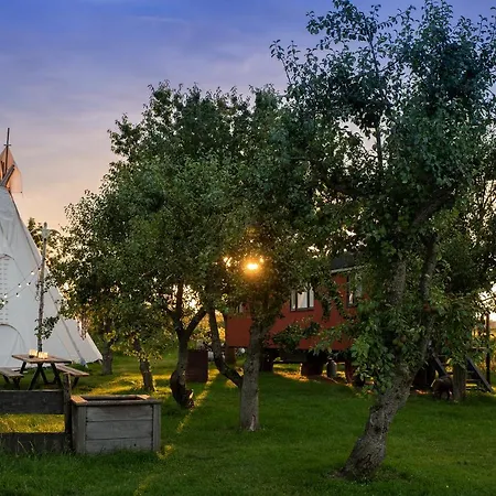 Slapen Tussen De Schapen In De Tante Tipi Luxury tent