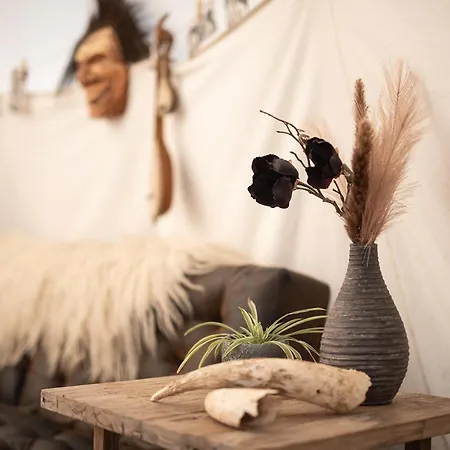 Luxury tent Slapen Tussen De Schapen In De Tante Tipi Zennewijnen