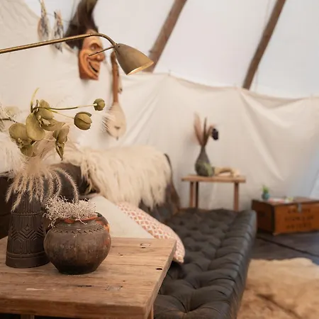 Luxury tent Slapen Tussen De Schapen In De Tante Tipi Zennewijnen