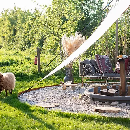 Slapen Tussen De Schapen In De Tante Tipi Luxury tent
