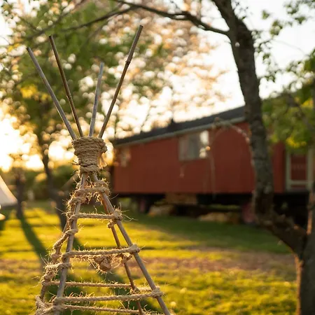 Slapen Tussen De Schapen In De Tante Tipi Zennewijnen