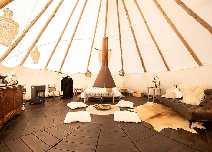 Slapen Tussen De Schapen In De Tante Tipi * Zennewijnen