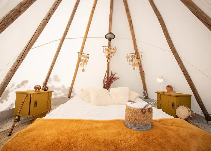 Slapen Tussen De Schapen In De Tante Tipi * Zennewijnen