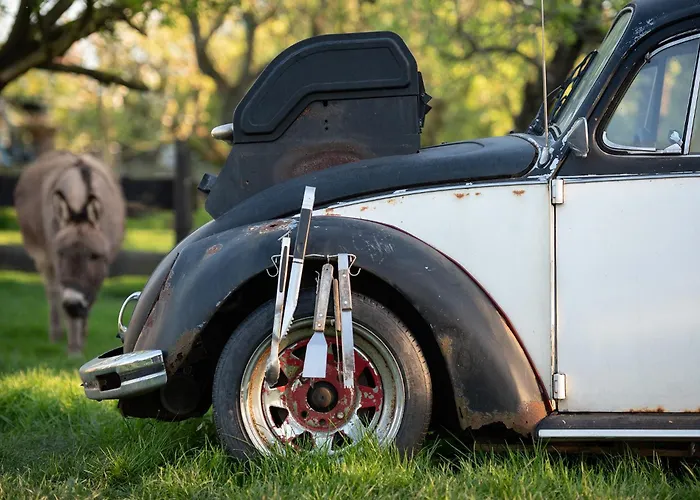 Slapen Tussen De Schapen In De Tante Tipi Zennewijnen