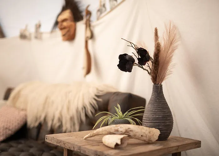 خيمة فخمة Slapen Tussen De Schapen In De Tante Tipi Zennewijnen