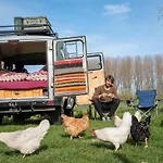 Slapen Tussen De Schapen In De Tante Tipi Luxury tent *
