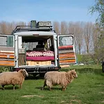 Slapen Tussen De Schapen In De Tante Tipi