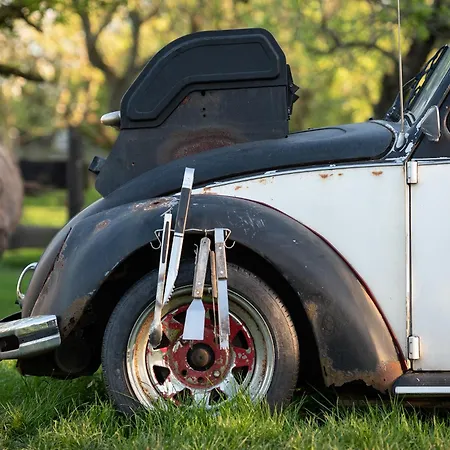 Slapen Tussen De Schapen In De Tante Tipi Zennewijnen