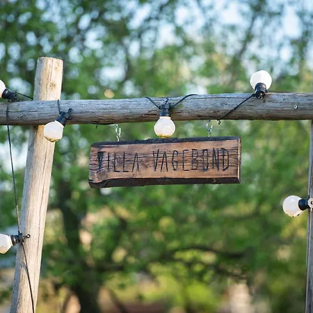 Slapen Tussen De Schapen In De Tante Tipi Luxury tent Zennewijnen