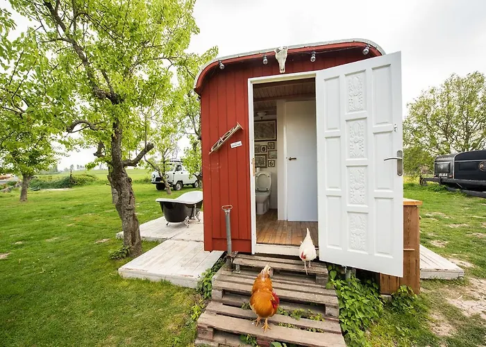 Slapen Tussen De Schapen In De Tante Tipi Zennewijnen