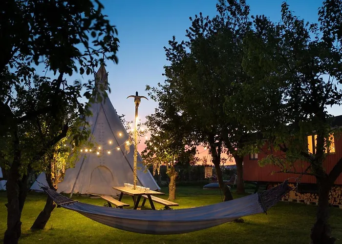 Slapen Tussen De Schapen In De Tante Tipi Luxury tent