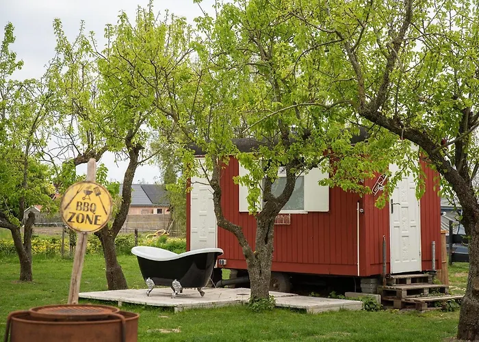 Luxury tent Slapen Tussen De Schapen In De Tante Tipi