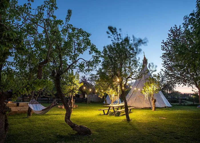 Luxury tent Slapen Tussen De Schapen In De Tante Tipi
