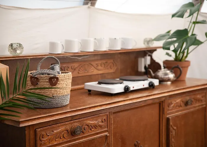 Slapen Tussen De Schapen In De Tante Tipi Luxury tent Zennewijnen