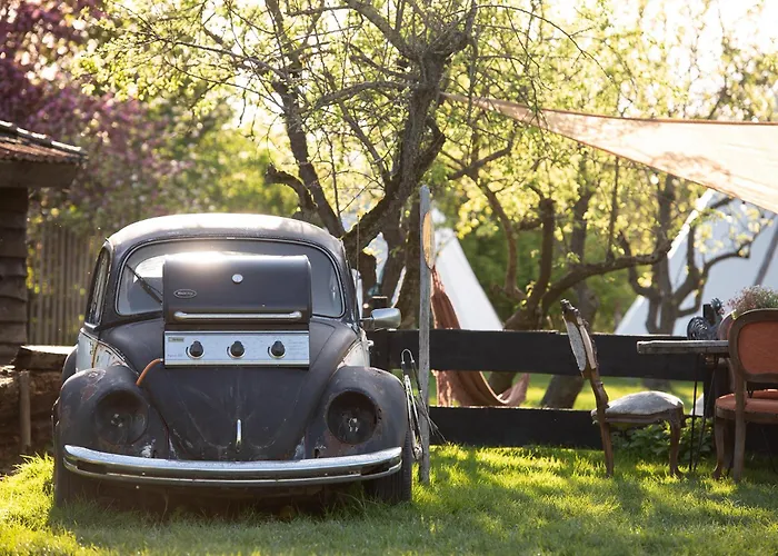 Slapen Tussen De Schapen In De Tante Tipi Zennewijnen