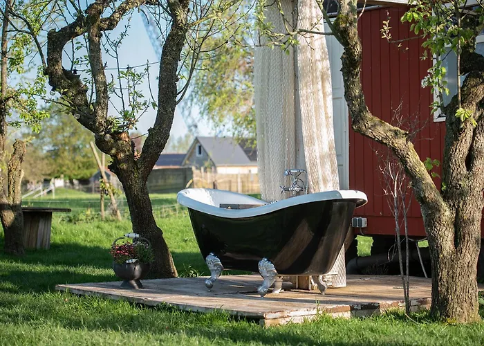 Slapen Tussen De Schapen In De Tante Tipi